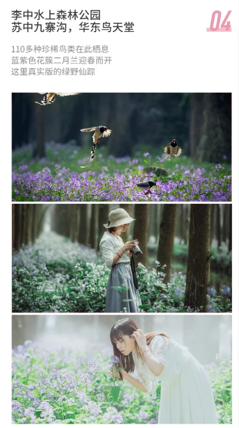 微信截图_20250214100114.png