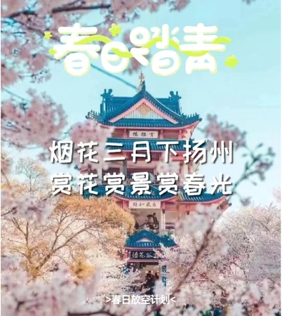 特价（Vip2+1大巴）3月28日/4月3日/4月10日-烟花三月下扬州-瘦西湖-何园-兴化水上油菜花-水上森林-秦淮河-牛首山，休闲4日游
