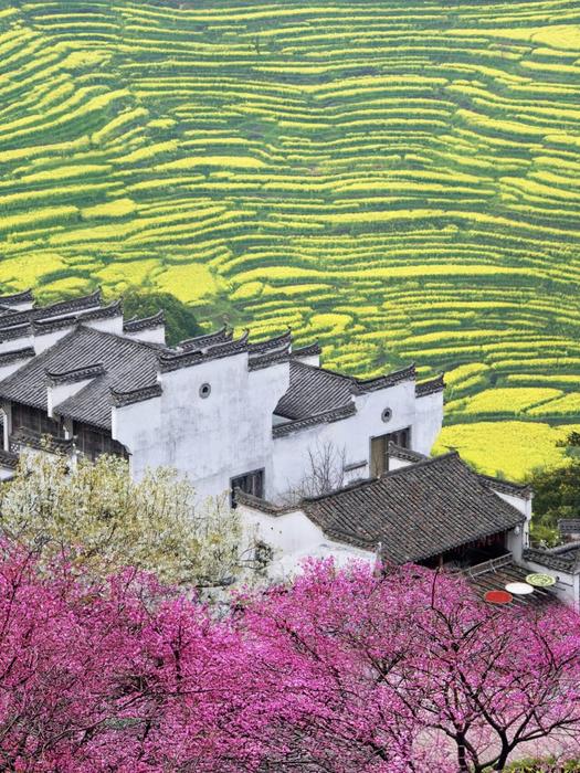 QQ图片20260311212820.jpg