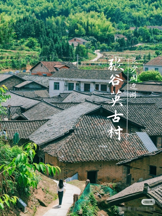 微信图片编辑_20250402103734.jpg