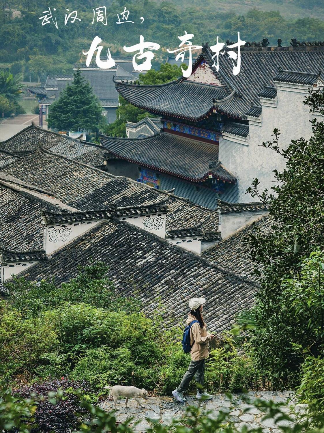 QQ图片20260427100546.jpg