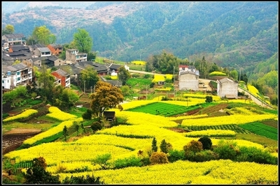 （特价99）3月26日/30日，连续2期-湖北也有小"婺源"大冶沼山村休闲摄影一日游（最佳花期）