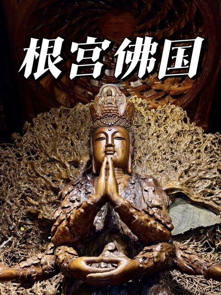 （免门票VIP2+1大巴）1月16-18日-浙西漫游：漫步大南门古街、探秘龙游石窟奇观、静赏民居苑古韵、朝拜根宫佛国圣境，钱江源寻源3日游