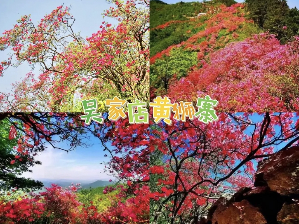 微信图片_20260420123932_399_22.jpg