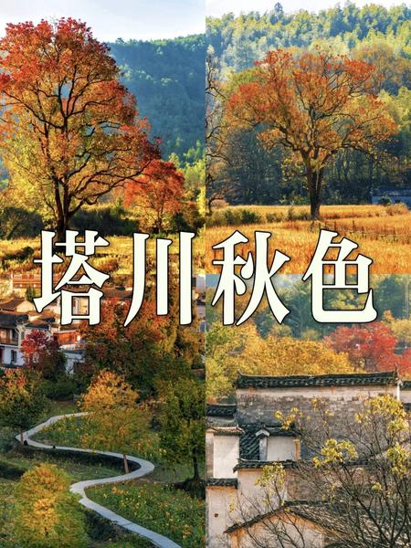 11月14晚-16日-驴行记-水墨宏村-塔川秋色~千年隐世古村西溪南-休闲游（最佳观赏期）