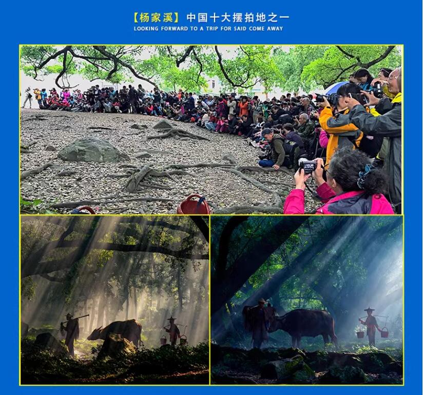 QQ截图20240430210923.jpg