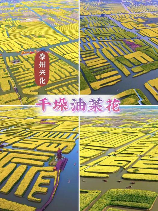 QQ图片20260320094310.jpg