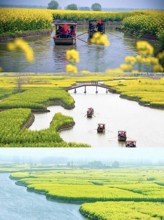 QQ图片20260320094317.jpg