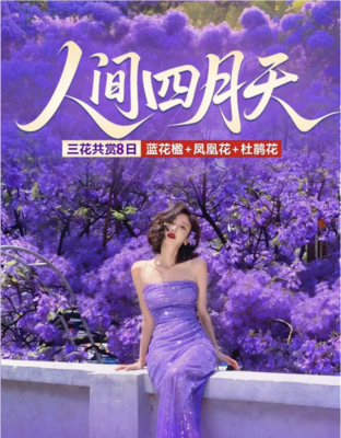 【VIP2+1大巴】4月19-26日-云南-贵州-重庆-三省三花-昆明西昌双城蓝花楹、元谋土林、攀枝花凤凰花、九十九里温泉瀑布、七里坝索玛花，夜郎谷，慢游重庆山城-8日休闲游