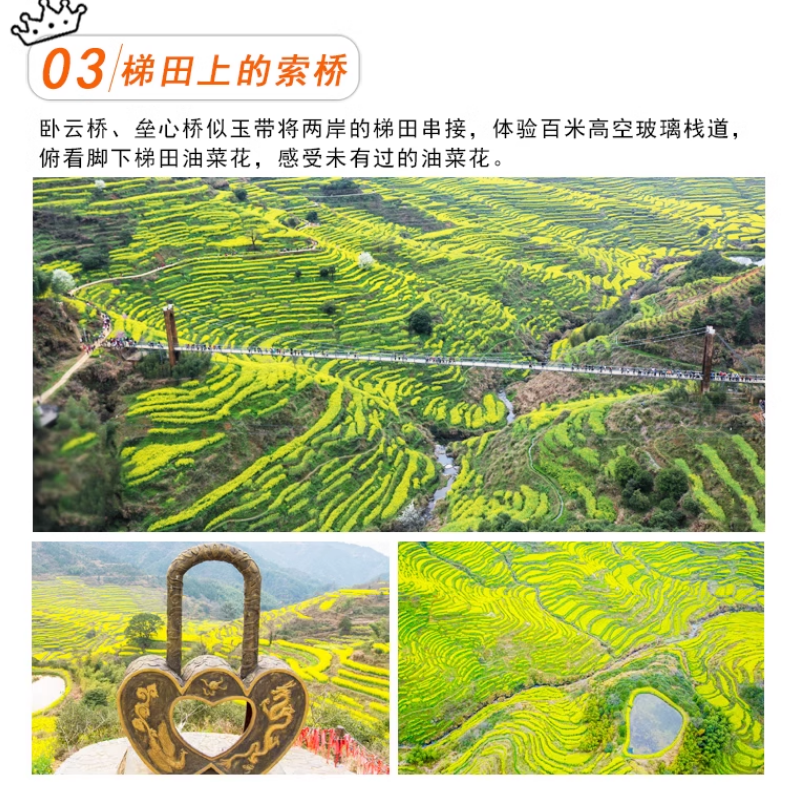 QQ20250313-091636.png